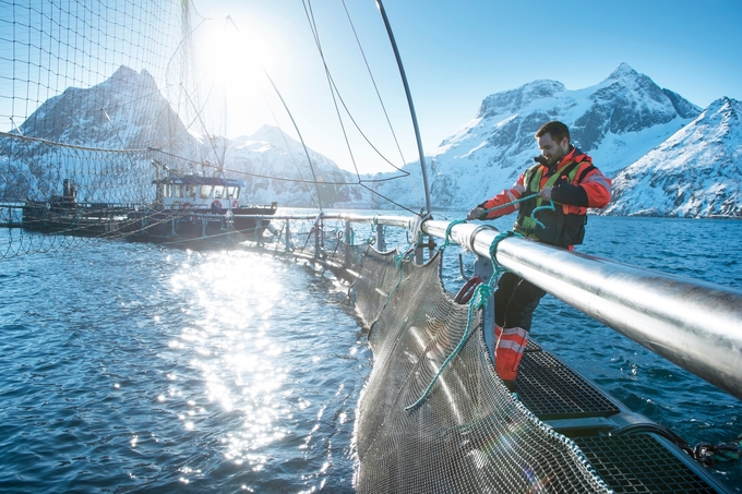 Na Uy hiện sở hữu ngành nuôi biển hàng đầu và cạnh tranh cao trên thế giới. Thành công này có được đến từ sự đóng góp không nhỏ của các tiến bộ công nghệ. Ảnh: NSC.