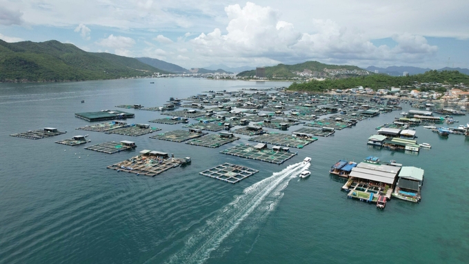 Với nhu cầu thị trường toàn cầu về hải sản liên tục tăng, Việt Nam có tiềm năng mở rộng nuôi biển quy mô lớn, đóng góp một phần quan trọng vào chuỗi cung ứng toàn cầu. Ảnh: Hồng Thắm.