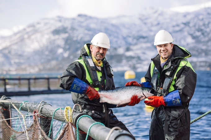 Cá hồi Na Uy nổi tiếng thế giới về giá trị dinh dưỡng cũng như chất lượng sản phẩm. Ảnh: NSC.