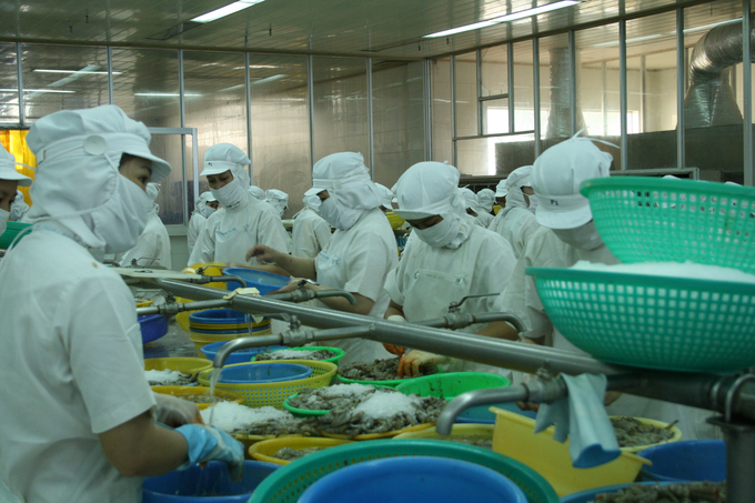 According to the Ministry of Agriculture and Rural Development (MARD), Vietnam’s fisheries export value in the first six months of 2023 is estimated at VND 4.13 billion, down 27.4% compared to the same period in 2022. Photo: Hong Tham.
