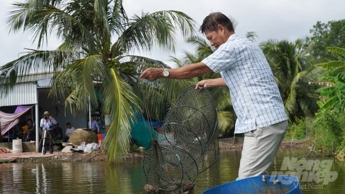 Shrimp farmers in the Mekong Delta are aiming for a farming process that reduces greenhouse emissions to the lowest level. Photo: Ho Thao.