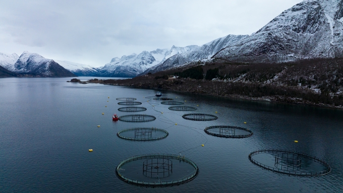 Norway has long been considered an ideal model for overall marine aquaculture development. Photo: NSC.