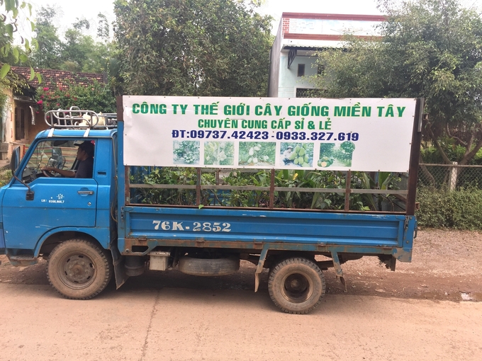 Những 'cửa hàng giống cây trồng di động' trên những chiếc xe tải mang biển số Quảng Ngãi xuất hiện nhiều tại Bình Định. nong duoc viet nam