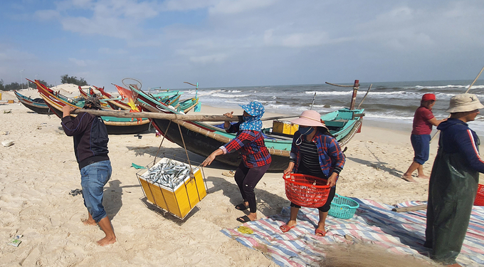 Một số ngành nghề khai thác biển mới có thu nhập cao giúp ngư dân an tâm bám biển. Ảnh: T.Phùng.