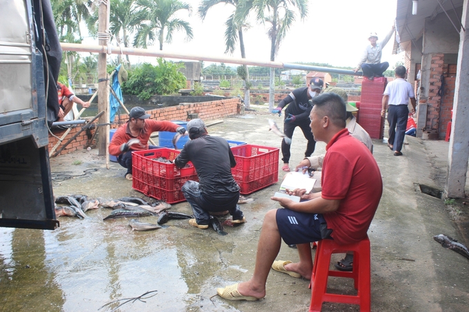 Cùng với việc phát huy nguồn lực tài nguyên nước để mở rộng sản xuất, Tây Ninh đang thu hút đầu tư nhà máy thu gom, sơ chế thủy sản. Ảnh: Trần Trung.