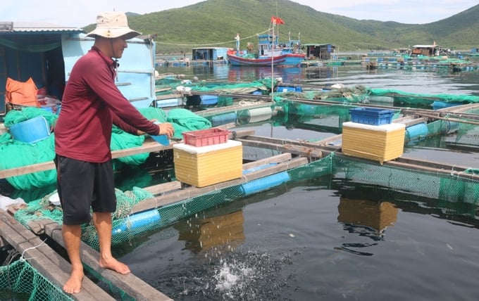 Hiện đăng ký nuôi trồng thủy sản lồng bè, đối tượng thủy sản nuôi chủ lực được thực hiện theo Điều 36 Nghị định 26 của Chính phủ. Ảnh: KS.