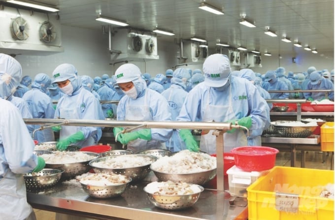 A look inside the shrimp processing factory belonging to BIM Group. Photo: Viet Cuong.