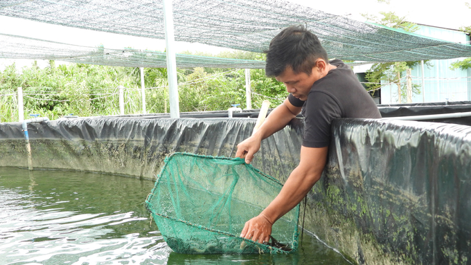 Nhiều loài thủy sản có giá trị kinh tế cao như cá chạch lấu được người dân Tây Ninh lựa chọn sản xuất. Ảnh: Trần Trung.