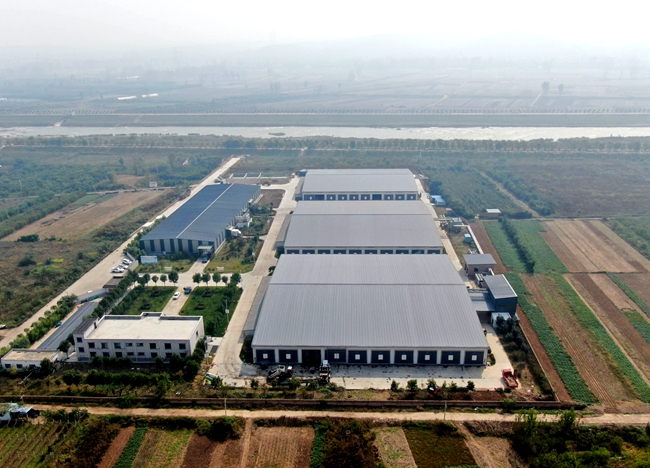Một nhà máy sản xuất nấm hương ở huyện Tung, thành phố Lạc Dương, tỉnh Hà Nam, Trung Quốc. 