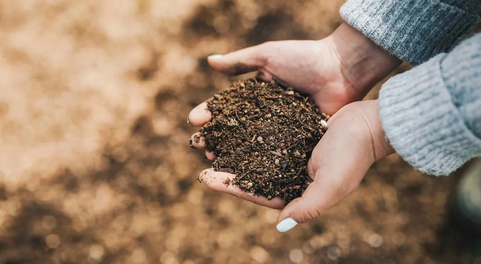 Representational image of fertlized soil.