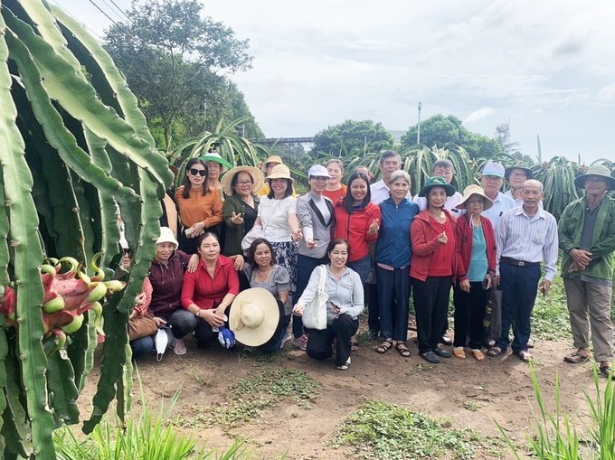 Các hội viên nông dân tham quan mô hình trồng cây thanh long ruột đỏ ở ấp Trang Định, xã Bông Trang (huyện Xuyên Mộc). Ảnh: Hoàng Trọng.