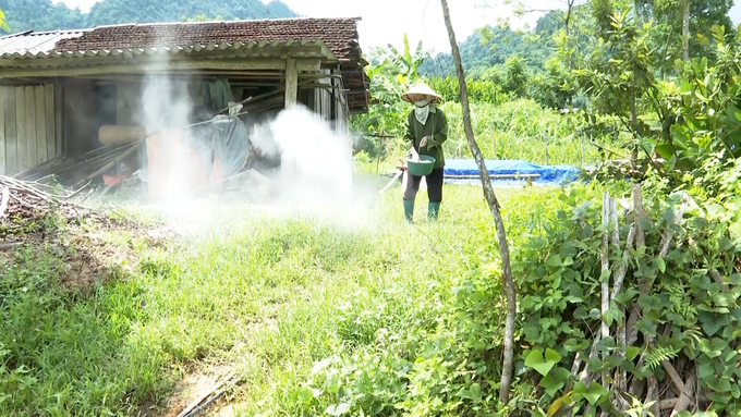 Người dân khử khuẩn chuồng trại, tiếp tục tái đàn ngay sau khi hết dịch. Ảnh: Ngọc Tú. 