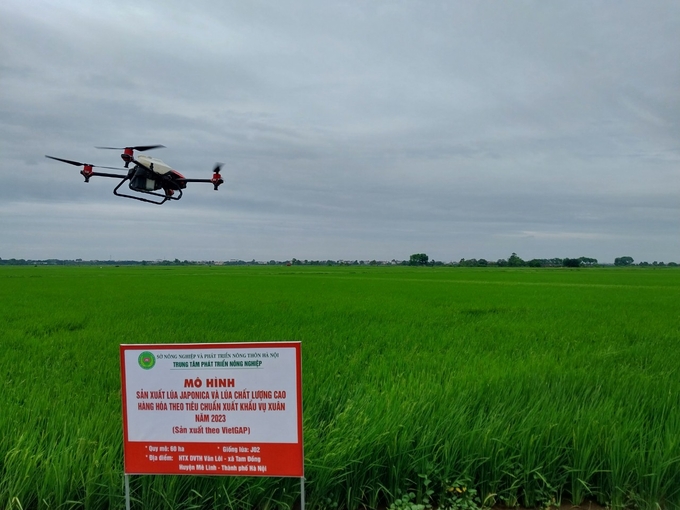 Ứng dụng thiết bị bay không người lái tại mô hình sản xuất lúa Japonica và lúa chất lượng cao năm 2023 tại xã Tam Đồng, huyện Mê Linh, TP Hà Nội. Ảnh: VĐ.