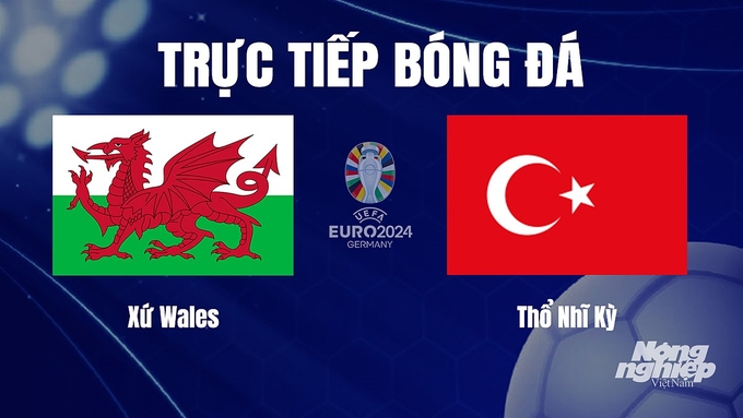 Trực tiếp bóng đá vòng loại Euro 2024 giữa ĐT Xứ Wales vs ĐT Thổ Nhĩ Kỳ hôm nay 22/11/2023