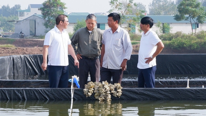 Lãnh đạo Sở NN-PTNT Ninh Bình kiểm tra tại một hộ nuôi hàu giống tại địa bàn xã Kim Trung, huyện Kim Sơn, tỉnh Ninh Bình. Ảnh: Huy Bình. 