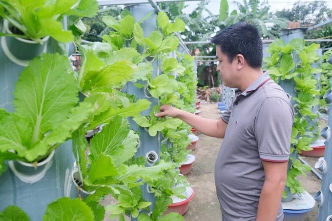 The aeroponic vegetable growing model of Mr. Pham Ngoc Trong's family. Photo: Tam Phung.