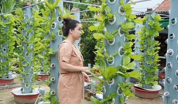 Aeroponic vegetable production is very convenient to meet the standards of organic vegetables. Photo: Tam Phung.