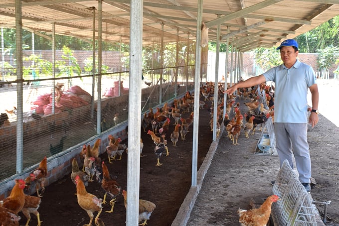 Khu chăn nuôi gà ta và gà H‘Mông trong trang trại của anh Ca. Ảnh: V.Đ.T.