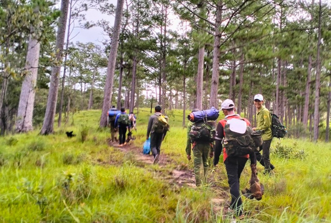 Nhân viên Ban quản lý Vườn quốc gia Phước Bình đi tuần tra rừng. Ảnh: V.Đ.T.