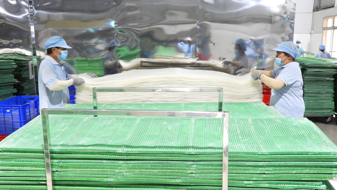 Hàng loạt chiếc bánh tráng sản xuất theo công nghệ hiện đại đầu tiên tại Tây Ninh được ra lò. Ảnh: Trần Trung.
