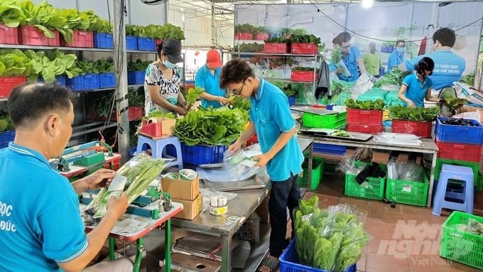 Tuan Ngoc Agricultural Cooperative always wishes to bring 'clean and safe meals' to consumers. Photo: Tran Trung.