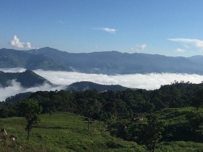 Phuoc Binh National Park has many potential and advantages for tourism development. Photo: V.D.T.