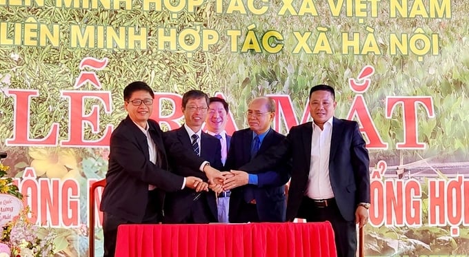 HTX Đại Nam và một số doanh nghiệp Hàn Quốc ký kết hợp tác tại lễ ra mắt HTX. Ảnh: Như Ngọc.