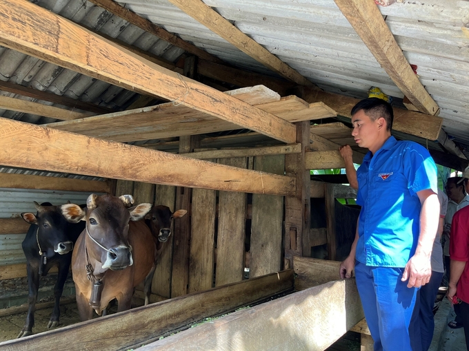 Các học viên, hộ gia đình được tham quan, học tập mô hình chăn nuôi bò tại xã Thạch Lâm, huyện Bảo Lâm, tỉnh Cao Bằng.