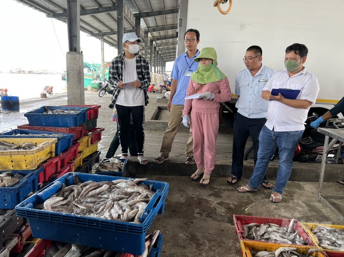 Officials inspecting the seafood catch volume at Song Doc Fishing Port. Photo: Trong Linh.