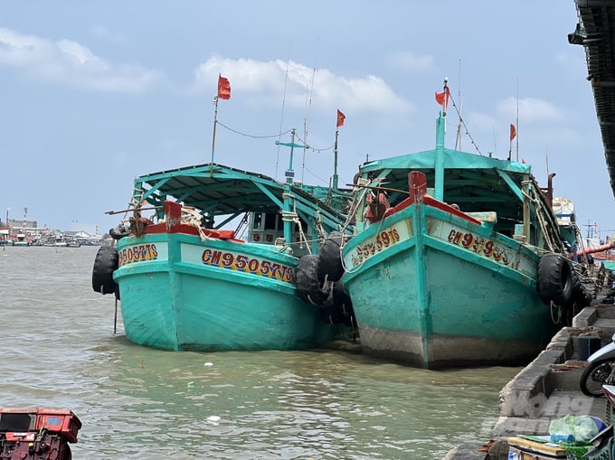 Fishing vessels docked in accordance with guidance from the Song Doc Fishing Port management. Photo: Trong Linh.