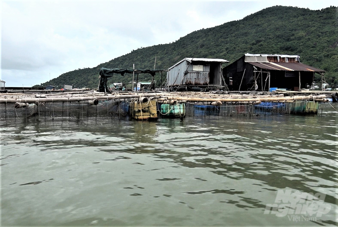 Kiên Giang mong muốn Na Uy hỗ trợ chuyển giao công nghệ nuôi biển hiện đại để thay thế lồng nuôi truyền thống, nhằm phát triển nghề nuôi biển hiện đại, bền vững. Ảnh: Trung Chánh.