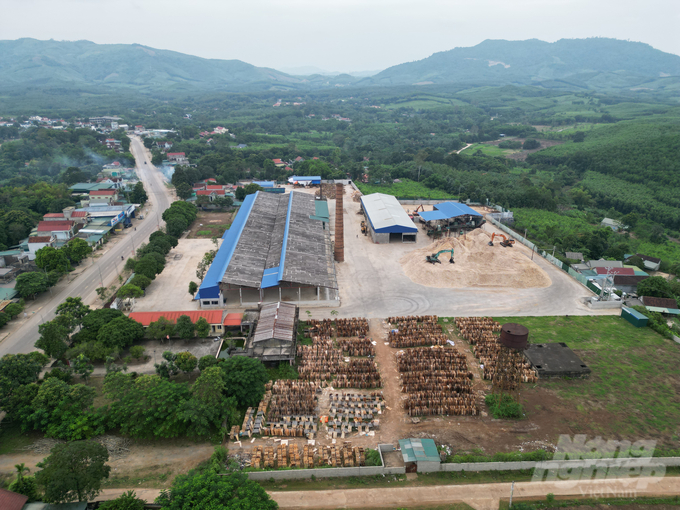 Cơ sở chế biến tại xã Bãi Trành, Như Xuân thực hiện thua mua chế biến gỗ keo không đúng giấy phép kinh doanh. Ảnh: QT.