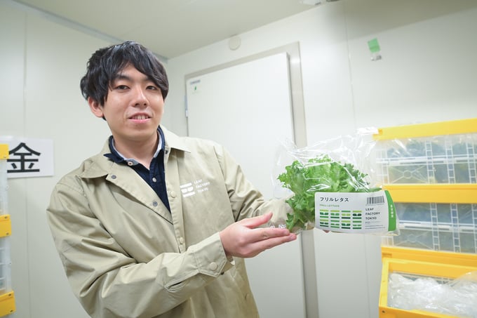 Các sản phẩm của Leaf Factory Tokyo được đóng gói và bảo quản trong phòng lạnh 6 độ C, với tủ lạnh gia đình, các loại rau này có thể bảo quản được từ 2-3 tuần. Ảnh: Tùng Đinh.