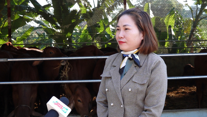 Bà Đặng Thị Hiếu, Phó Giám đốc Trung tâm Dịch vụ Nông nghiệp huyện Võ Nhai trả lời phỏng vấn Báo Nông nghiệp Việt Nam về tiến độ tiêm vacxin trên vật nuôi. Ảnh: Quang Linh.