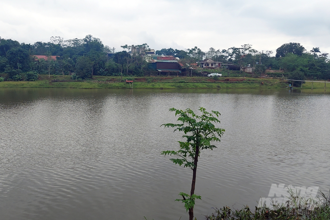 Xả thải nguồn nước chưa qua xử lý khiến hồ Nông Trường bị ô nhiễm. Ảnh: Võ Dũng.