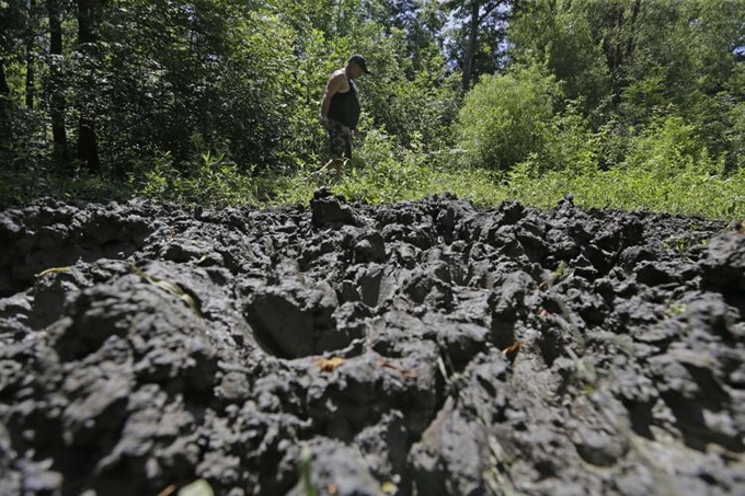 Wild pigs already cause around $2.5 billion in damage to U.S. crops every year, mostly in southern states like Texas.