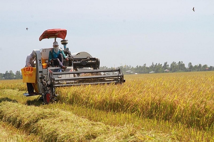 About 500 booths participate in the rice festival in Hau Giang. Photo: TL.