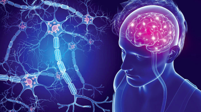 Hệ trục não – ruột có mối liên hệ mật thiết với nhau.
