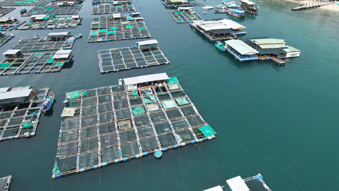 Many localities have not yet allocated or leased land and sea areas for aquaculture. Photo: Thanh Cuong.
