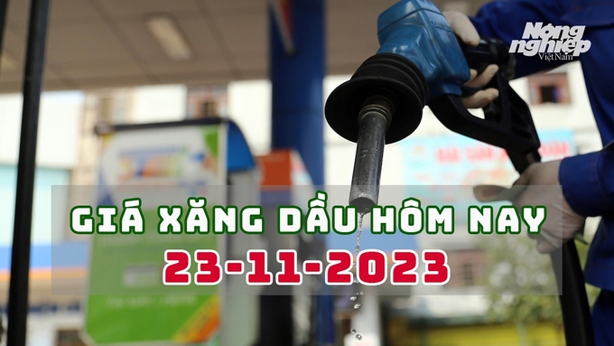 Cập nhật giá xăng dầu trong nước mới nhất ngày 23/11/2023