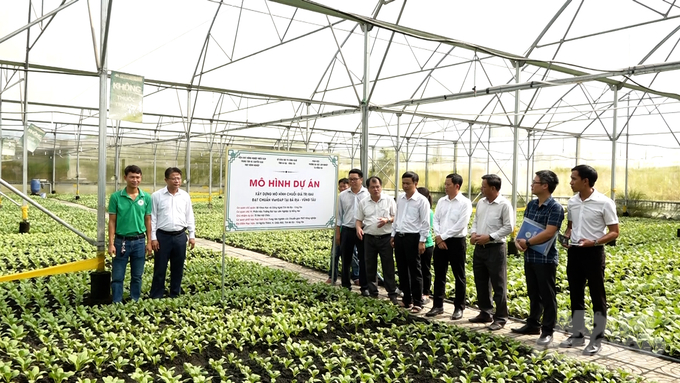 Các đoàn khách tham quan mô hình trồng rau trong nhà kính đạt chuẩn VietGAP của HTX Sản xuất nông nghiệp và Dịch vụ Châu Pha. Ảnh: Minh Sáng.
