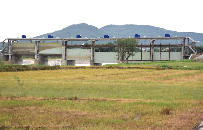 Thong Chin Dam undergoing repairs and upgrades in Phuoc Loc commune, Tuy Phuoc district, Binh Dinh. Photo: V.D.T.