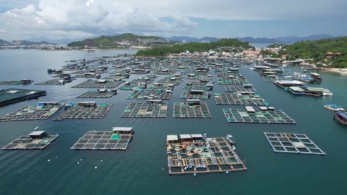 Vietnam's total mariculture area reached over 256,000 hectares in 2022. Photo: Hong Tham.