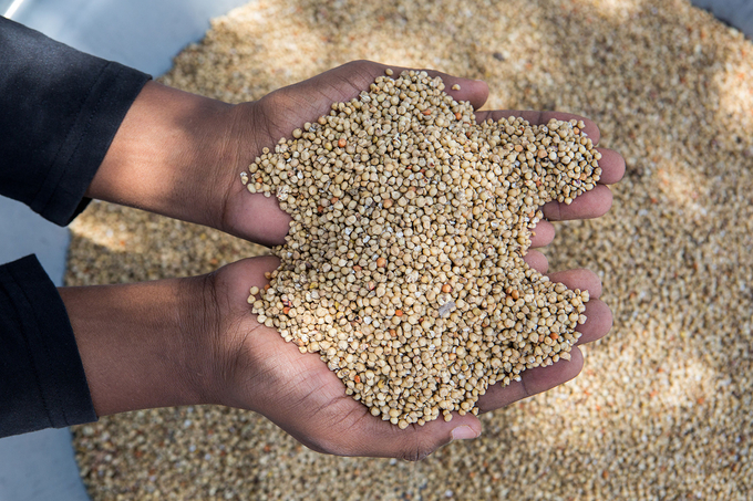 A major focus will be how seeds can help address global challenges such as loss of biodiversity and climate change.