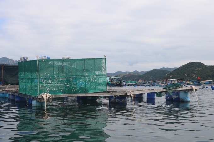 Lobster farming area on Binh Ba island, Cam Binh commune. Photo: KS.