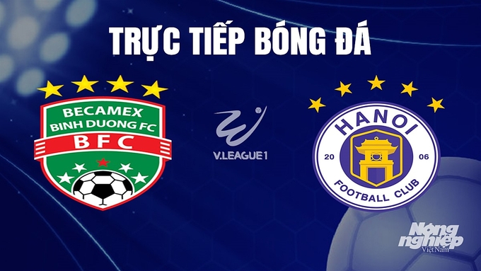 Trực tiếp bóng đá V-League 2023 giữa Bình Dương vs Hà Nội hôm nay 24/11/2023
