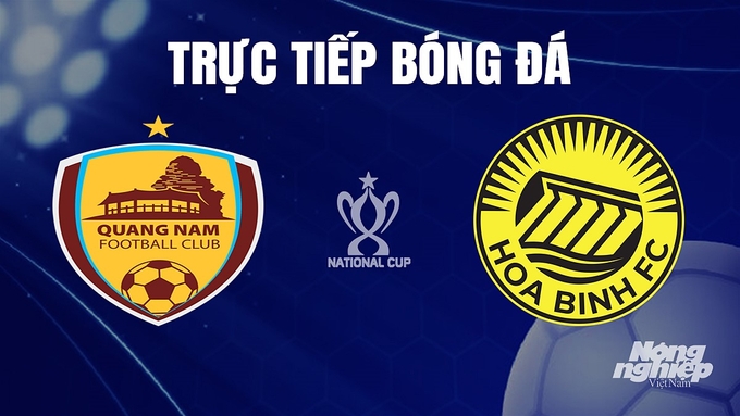 Trực tiếp bóng đá cúp Quốc gia 2023/24 giữa Quảng Nam vs Hoà Bình hôm nay 24/11/2023