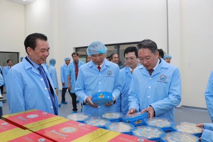 Deputy Minister of Agriculture and Rural Development Phung Duc Tien visits the Sanvinest Khanh Hoa Bird's Nest Raw Material Processing Factory. Photo: PC.
