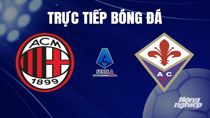 Trực tiếp bóng đá Serie A 2023/24 giữa AC Milan vs Fiorentina hôm nay 26/11/2023