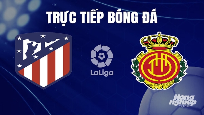 Trực tiếp bóng đá La Liga 2023/24 giữa Atletico Madrid vs Mallorca hôm nay 26/11/2023